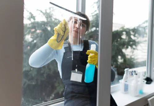 Nettoyage de vitres intérieures et extérieures à Manou